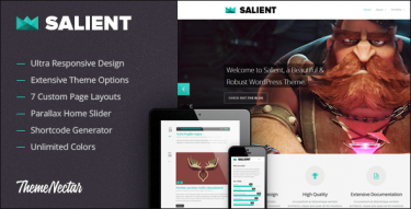 WordPress Salient Theme