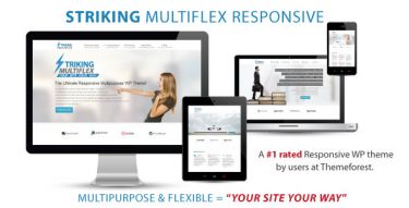 WordPress Striking Theme